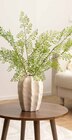 Wibra Lambersart - Promo Fougère Promo Fougère à 3,99 € dans le catalogue Wibra à Lambersart