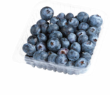 Heidelbeeren im Netto Marken-Discount Prospekt Heidelbeeren im aktuellen Netto Marken-Discount Prospekt für 1,50 €