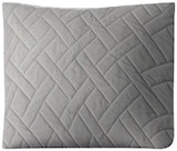 Deko-Kissen Angebote von HOME IDEAS bei Penny Dessau-Roßlau für 4,99 €