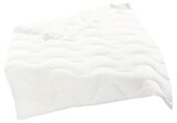 Steppbettdecke TREVIRA FILL Angebote von fan bei Penny Offenburg für 15,99 €