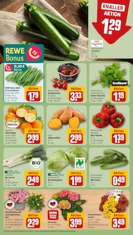 Blumen im REWE Prospekt "Dein Markt" mit 16 Seiten (Pforzheim)