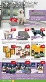 Hundezubehör im Raiffeisenmarkt Prospekt in Herne Aktueller Raiffeisenmarkt Prospekt mit Hundezubehör, "Komfort und Genuss für deine Lieblinge!", Seite 3