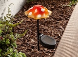 Lampe solaire décorative - LIVARNO HOME dans le catalogue Lidl