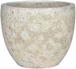 Aktuelles Pflanzgefäß Nilo Angebot bei Pflanzen Kölle in Potsdam ab 6,99 €