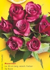 Moosrosen Angebote bei Netto Marken-Discount Bautzen für 1,00 €