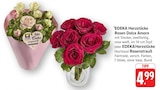 Rosen Dolce Amore bei EDEKA im Saarbrücken Prospekt für 4,99 €