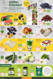Salat Angebot & Preis im aktuellen GLOBUS Prospekt Salat Angebot im aktuellen GLOBUS Prospekt auf Seite 4