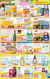 Zwiebeln Angebot im aktuellen Norma Prospekt auf Seite 7