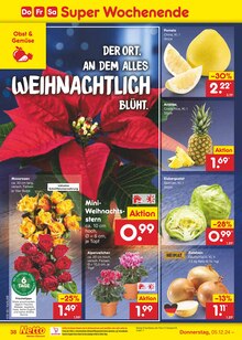 Blumen im Netto Marken-Discount Prospekt "Aktuelle Angebote" mit 63 Seiten (Trier)