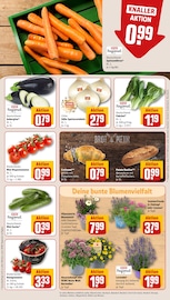 Blumen im REWE Prospekt in Bornheim Aktueller REWE Prospekt mit Blumen, "Dein Markt", Seite 7