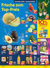 Volvic im Netto Marken-Discount Prospekt in Freital Aktueller Netto Marken-Discount Prospekt mit Volvic, "Aktuelle Angebote", Seite 3