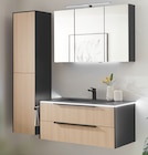 Aktuelle Bad-Spiegelschrank Angebote bei Möbelzentrum Pforzheim in Stuttgart Aktuelles Waschtischunterschrank Angebot bei Möbelzentrum Pforzheim in Stuttgart ab 549,00 €