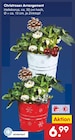 Christrosen Arrangement im Angebot bei Netto Marken-Discount in Frechen Christrosen Arrangement Angebote bei Netto Marken-Discount Frechen für 6,99 €