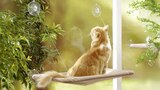 HAMAC DE FENÊTRE - ANKA en promo chez Animalis Clermont-Ferrand à 15,59 €