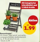 Pflanzentreppe Angebote bei Penny Freiberg für 1,99 €