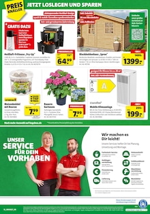 Hortensie im Hagebaumarkt Prospekt "BRING DEIN ZUHAUSE ZUM STRAHLEN" mit 20 Seiten (Mönchengladbach)