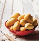 Pomme de terre de consommation à chair ferme - U - Super U à Narbonne Pomme de terre de consommation à chair ferme - U en promo chez Super U Narbonne à 2,25 €