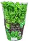 Bio Schnittlauch im Kaufland Prospekt dtsch. Kräutertopf von Bioland im aktuellen Kaufland Prospekt für 1,29 €