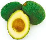 Bio Avocado Sorte Hass für 2,49 € bei Netto mit dem Scottie im Angebot Bio Avocado Sorte Hass im aktuellen Netto mit dem Scottie Prospekt