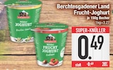 Aktuelles Frucht-Joghurt Angebot bei EDEKA in Ingolstadt ab 0,49 €