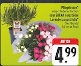 Aktuelle Lavendel Angebote bei E center in Nürnberg Aktuelles Pfingstrosen Angebot bei E center in Nürnberg ab 4,99 €