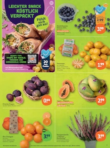 Obst im aktuellen tegut Prospekt (Stuttgart) Obst im tegut Prospekt "tegut… gute Lebensmittel" mit 23 Seiten (Stuttgart)