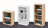 Regal im Angebot bei Wreesmann in Freiberg Regal Angebote bei Wreesmann Freiberg für 29,99 €