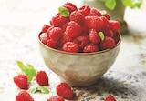 U Express Jarnac - Promo Framboise Promo Framboise à 2,99 € dans le catalogue U Express à Jarnac