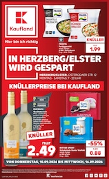 Kaufland Prospekt "Hier bin ich richtig" für Falkenberg, 74 Seiten, 10.09.2026 - 16.09.2026