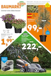 Aktueller Globus-Baumarkt Prospekt mit Gartenwerkzeug, "Immer eine Idee besser", Seite 1