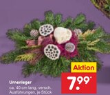 Urnenleger im Angebot bei Netto Marken-Discount in Salzgitter Urnenleger Angebote bei Netto Marken-Discount Salzgitter für 7,99 €