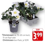 Christrosen Angebote bei EDEKA Fellbach für 3,99 €