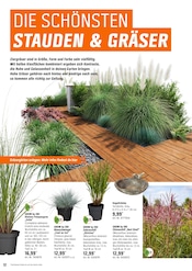 Aktueller OBI Prospekt mit Tierfutter, "BRING FARBE IN DEN GARTEN!", Seite 12