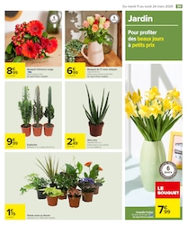 Offre Plante Verte dans le catalogue Carrefour du moment à la page 61