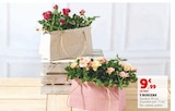 3 Rosiers en promo chez Super U 3 Rosiers dans le catalogue Super U