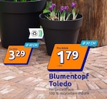 Blumentopf Toledo bei Action im Mettingen Prospekt für 1,79 €