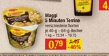 5 Minuten Terrine von Maggi im aktuellen V-Markt Prospekt für 0,79 €