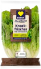 EDEKA Frischemarkt Anklam - Mini Romanasalatherzen Angebot im Prospekt Mini Romanasalatherzen bei EDEKA Frischemarkt im Anklam Prospekt für 1,49 €