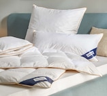 Aktuelle Kopfkissen Angebote bei Höffner in Nürnberg Aktuelles 3-KAMMER-KOPFKISSEN Angebot bei Höffner in Nürnberg ab 49,95 €