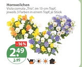 Hornveilchen von  im aktuellen V-Markt Prospekt für 2,49 €