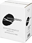 Montepulciano d‘Abruzzo von Sassopiano im aktuellen Metro Prospekt für 4,99 €