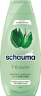 Shampoo von Schauma für 1,39 € bei Netto mit dem Scottie im Angebot Shampoo von Schauma im aktuellen Netto mit dem Scottie Prospekt