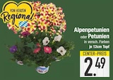 Alpenpetunien  im aktuellen EDEKA Prospekt für 2,49 €