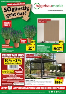 Aktueller Hagebaumarkt Prospekt "SO günstig geht das!" Seite 1 von 16 Seiten für Adendorf