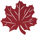 Herbstdekoration Blatt Angebote bei REWE Schwäbisch Hall