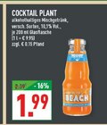 COCKTAIL PLANT Angebote bei Marktkauf Bottrop für 1,99 €