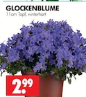 Glockenblume Angebote bei Wreesmann Freiberg für 2,99 €