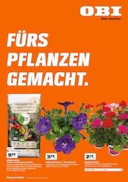 Geranien im OBI Prospekt "FÜRS PFLANZEN GEMACHT." auf Seite 1