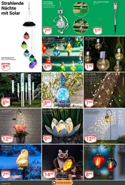 Aktueller GLOBUS Prospekt mit Solarlampe, "Aktuelle Angebote", Seite 24