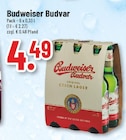 Aktuelle Budweiser Angebote bei Trinkgut in Essen Aktuelles Original Czech Lager Angebot bei Trinkgut in Essen ab 4,49 €